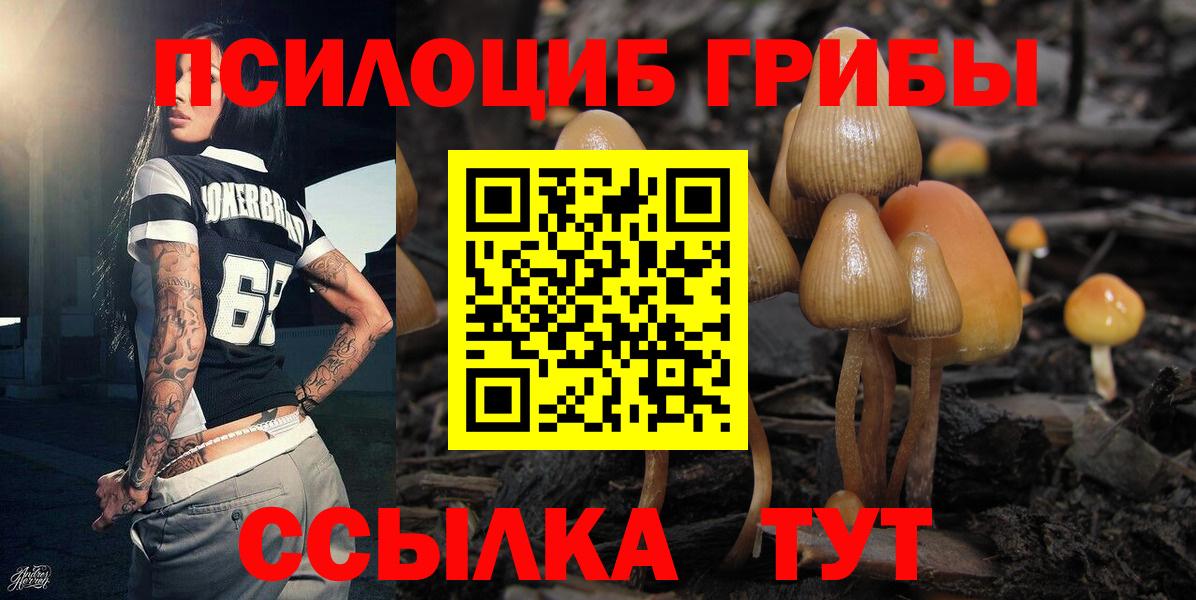 Ликино-Дулёво  Псилоцибиновые грибы прущие грибы  Вход с VPN 